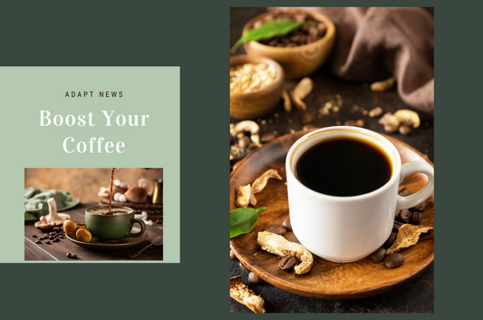 Boost Your Morning Coffee with Lion’s Mane, Cordyceps, and Reishi Mushrooms