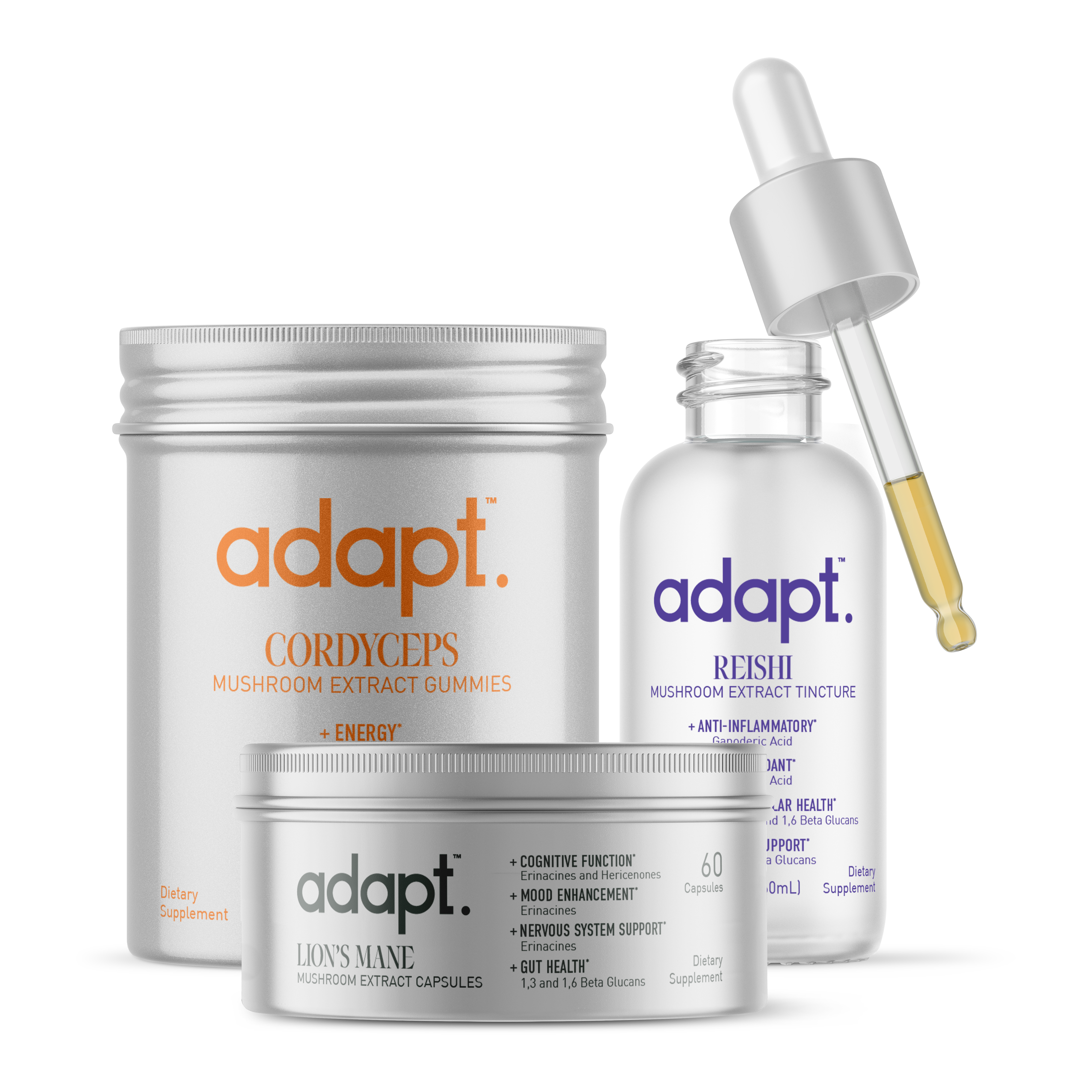 Image showing a lineup of three mushroom products: a tincture bottle with a dropper, a pile of chewy gummies, and a container of capsules, showcasing different consumption methods of mushroom extract.