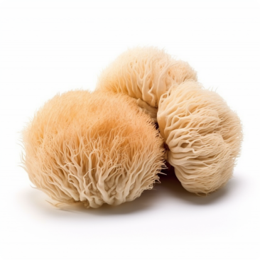 Lion's Mane mushroom with key benefits highlighted: cognitive function, mood enhancement, neuroprotection