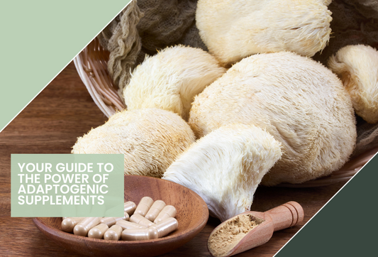 Functional Mushroom Supplements