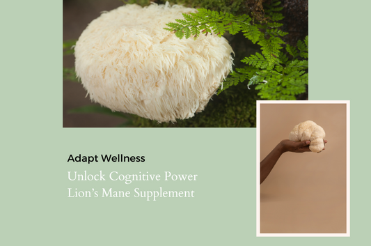 Unlock Cognitive Power with Adapt's Lion's Mane Supplement