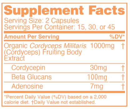 Cordyceps